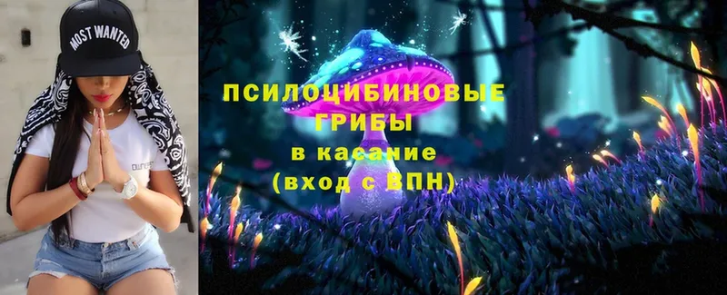 Галлюциногенные грибы MAGIC MUSHROOMS  хочу наркоту  Рязань 